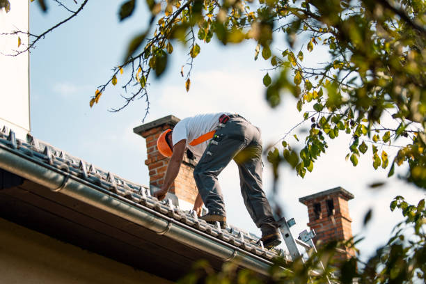 Best Storm Damage Roof Repair  in Ore City, TX