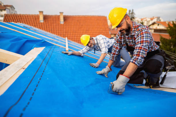 Best Metal Roofing Contractor  in Ore City, TX