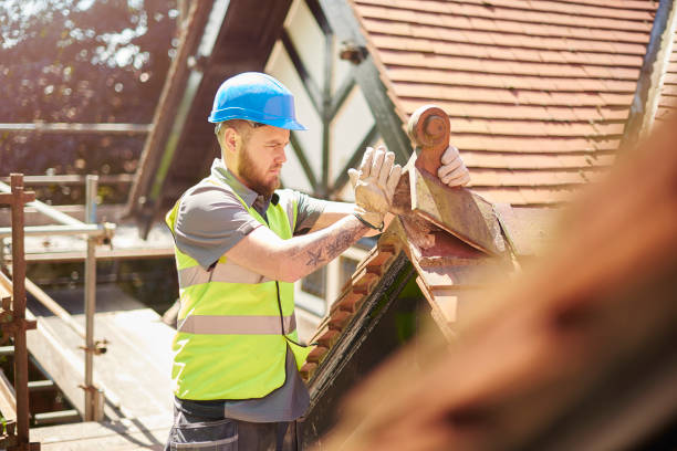 Best Roof Gutter Cleaning  in Ore City, TX
