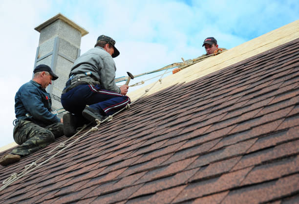 Best Storm Damage Roof Repair  in Ore City, TX